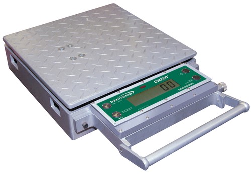 Intercomp cw250 platform scale - cw250,